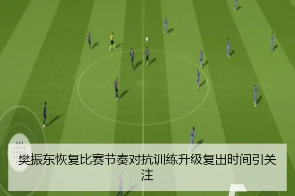 樊振东恢复比赛节奏对抗训练升级复出时间引关注